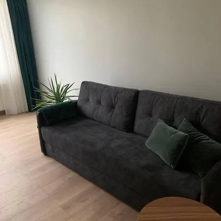 Cozy Near Zalgiris Arena Apartment