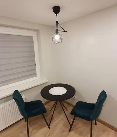 Cozy Near Zalgiris Arena